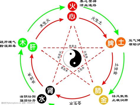 木火土金水|为什么人们说五行时的常用的顺序是“金、木、水、火、土”？古籍。